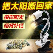 Little turtle lamp sun back light three-in-one turtle with back light stand uva uvb lamp climbing pet full spectrum solar bulb