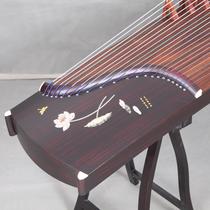 Xu Jiayin Guzheng Paulownia Adult Students Beginners Grade Examination Professional Performance Guzheng