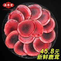 Changbai Mountain Blood Fresh Deer Shuren Pieces Head of Jilin Sika Deer Township Male Dry Branches Blood Ren Shu