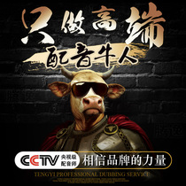 High-end dubbing special promotional film report video male voice female voice narration advertising role recording production professional