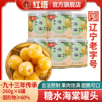 Hongta Crabapple fruit canned 260g * 6 cans whole box of fresh canned fruit afternoon snacks baking Leisure