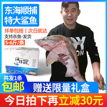 Zhoushan fresh small shark 5-6kg strip Donghaishun catch non-white shark meat Ningbo frozen seafood aquatic products fresh