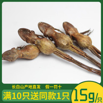  (Buy 10 get 1 free)Changbai Mountain whole snow clam dried 15 grams of Northeast forest frog dried snow clam oil hash ant