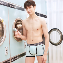 SQINUSQN Lion Chino Ice Mens Panties Comfortable Mens Boxers Summer Thin Mens Boxer Bottoms Toe