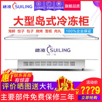 Sui Ling WD4-960 horizontal display cabinet commercial transparent glass door Dumpling Dumpling freezer low temperature freezing refrigerator