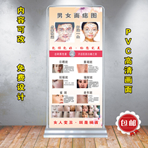 Men and womens facial mole figure point mole freckle skin whitening management advertising display rack easy-to-pull pampo wall chart decorative stickers