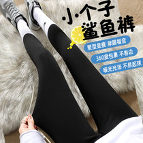 80% small sub shark beating bottom pants female spring and autumn slim outside wearing close-up hip Barbie with high waist yoga pressure pants