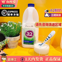 2 bottles of Australian local fresh milk a2 pasteurized whole milk 1L Shunfeng cold chain distribution