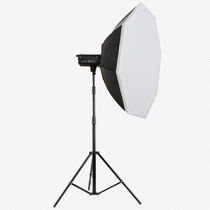 God Bull DP600II Flash Photography Light Single Light Suit Shadow Room Light Photographic Videography Photogrammetry Light