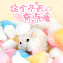 Hamster cotton winter supplies Warm nest Golden Bear winter winter special cold cotton cotton cotton cotton ball