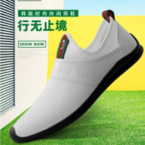Korean version casual leather shoes mens shoes 35 mens leather breathable 36 white 37 white 37 spring fashion bean-bean shoes male