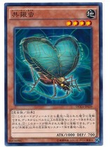 (Wing Tour Card) Game King N Pinka Resonance Worm 901