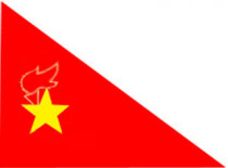 (Team Flag) less First Team Flag Team Flag 50 * 30cm