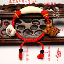 Red rope bracelet black dog tooth pig shock bone cinnabar bracelet baby child baby shock evil evil Peach