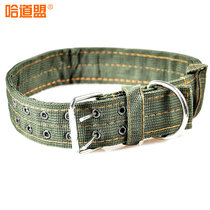 Hadaomeng WISON Pet Collar Tibetan Mastiff Applicable Dog Collar Large Medium and Small Dog Chain Neck