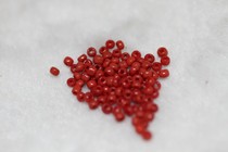 Hidden Buddhist pearl accessories The old red glazed small sepal beads pair holes with a diameter of 0 0 15cm 2cm