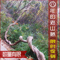 Tree Vine Withered Vine Vine Vine decoration old rough Vine simulation tree branch vine plant fake green plant wall hanging ceiling winding