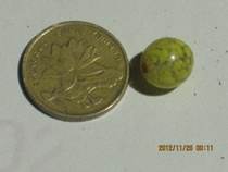 Minqing period-colored glaze beads-yellow flower color