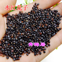 Water safflower seeds 500 grams water safflower seeds water safflower seeds