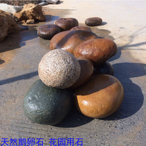 Natural color large cobblestone fish tank landscape stone tortoise Sun table Garden Stone Rockery stone Rain Flower Stone