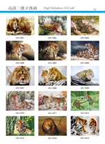 2018 3D stereoscopic painting library Sequence library raster image material A total of more than 900 G Hard disk version special price 980