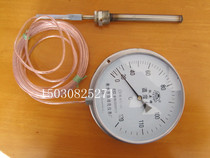 Iron head brand pressure thermometer WTQ-280 type 5 M transmission line mechanical thermometer