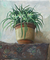 Original Color Quiet Oil Painting 50X60 scenery Write a small view oil painting Orchid Write a students work