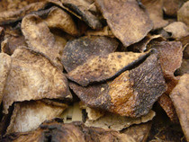 () Authentic Xinsociety ten years old tangerine peel 50g