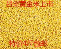  Shanxi specialty Lvliang Mountain farm stone milled grains green gold millet pregnant women confinement farm rice 4 kg