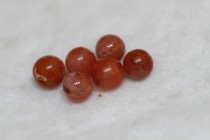 Tibetan Buddhist pearl accessories Sichuan Liangshan South red Manau round bead diameter of 0 75cm