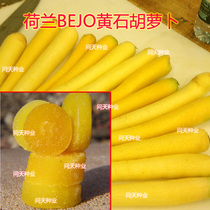 Dutch Bju Yellowstone Yellow Carrot Seed Inner Core Fresh Yellow Vegetable Seeds Cream Carrot Seeds
