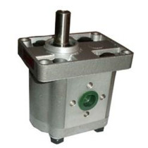 Hydraulic components hydraulic oil pump gear pump cbn-e304 306 308 310 forward and reverse single key spline