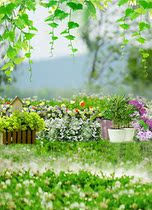 Childrens mini virtual photography background photo studio photo background cloth grass flower theme background large picture 1136
