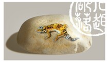 Stone fun tribe original hand painted stone creative gift custom lizard cute animal