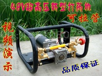12V48V DC high pressure pesticide beating medicine machine agricultural gardening electric sprayer garden fruit tree drugbeating water pump
