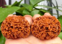 Special carving Wen walnut beaming work fee Magpie starry carving 1500