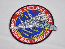 TOMCAT returns to Iraq F-14 TOMCAT fighter Iraqs participation in war commemorative badge