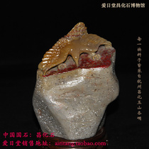 Eagle hit the Red Sea Changhua chicken bloodstone carving ornaments hand-made Changhua chicken blood field yellow frozen color stone Shoushan Qingtian Bahrain stone