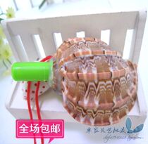Natural Sea Snail Shells Pipa Snail Whistle 10 cm screw number
