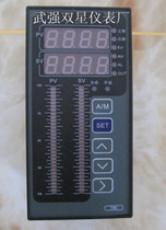 Intelligent dual-light column dual-loop measurement and control instrument liquid level pressure temperature