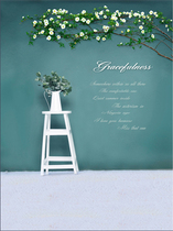 Hot photo studio background wedding photography background cloth digital painting background cloth wedding theme background