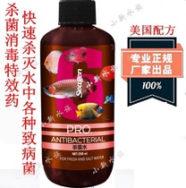 With ticket Seagen No. 6 Seagen sterilization water high-grade aquarium fish medicine 250 500ML