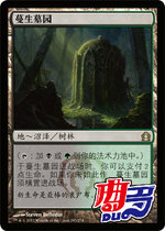 Qdu Card] MTG Wanzhi Brand Mansheng Cemetery Cemetery China Britain and Japan re-visit to Ranica Dijin