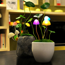 Lyll Avatar mushroom light light control night light energy saving small desk lamp bedside lamp creative gift