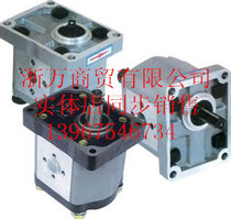 Aluminum CBT-F320 Hydraulic High Pressure Gear Oil Pump Flat Button Left Flat Button Right Spline Left Spline Right