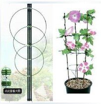 Flower holder Tomato rack Climbing Rattan frame Clematis high 90 120 150cm More provinces from 2