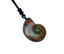 Water jade ice-shaped snail pendant colorful snail fossil pendant physical pendant