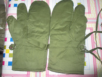 Grass Green Sheep fur gloves