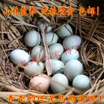 Xiangxi Longshan farmhouse woods Scattered Pure Grain Soil Eggs Grass Eggs Theory Catfish For Sale 