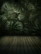 Vintage background cloth studio theme childrens wedding dress Taobao clothing photo background cloth background paper big picture 1989